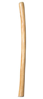 Medium Size Natural Finish Didgeridoo (TW1652)
